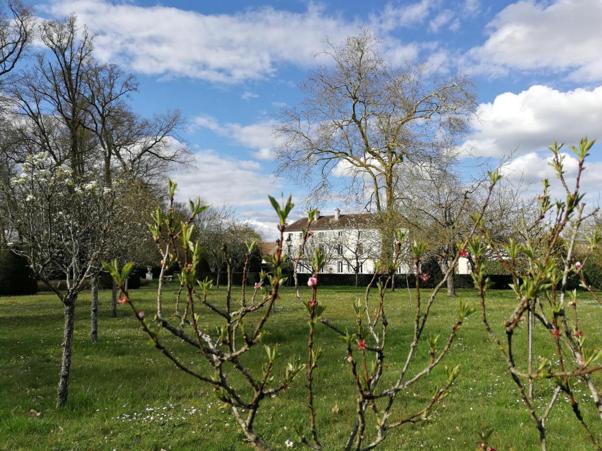 Chateau De Brinville Saint-Sauveur-sur-Ecole Экстерьер фото